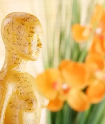 Yeditepe University Complementary Medical Center